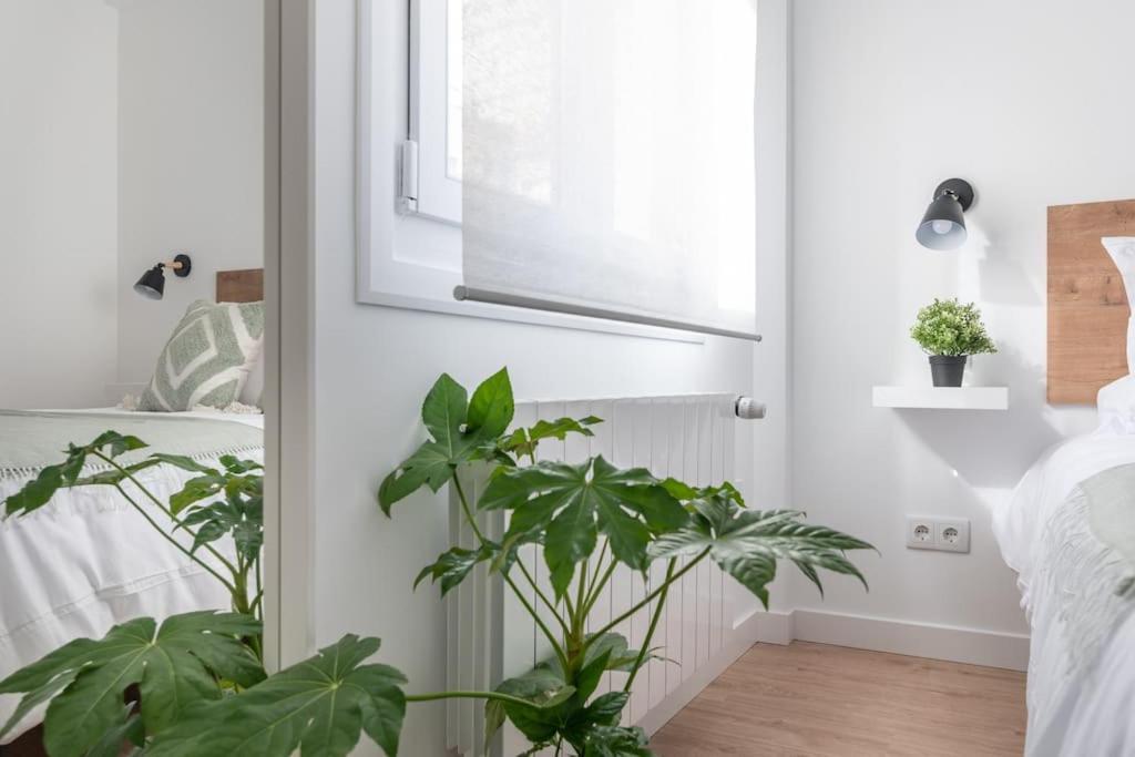 Apartamento G29- Centrico Santander-must *